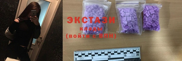 гашик Дмитровск