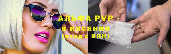 гашик Дмитровск