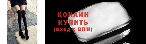 гашик Дмитровск