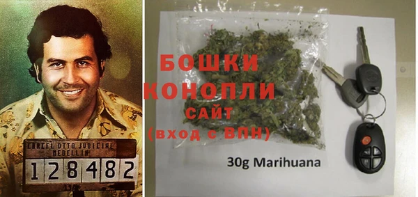 гашик Дмитровск