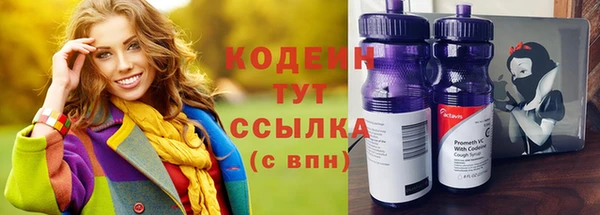 гашик Дмитровск