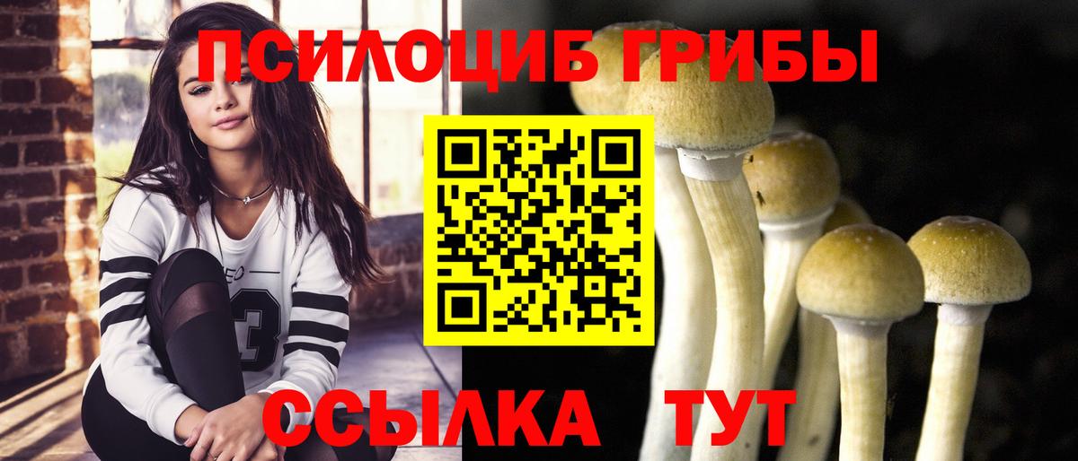 Москва  где найти   Вход с VPN  Псилоцибиновые грибы Psilocybine cubensis  Псилоцибиновые грибы Magic Shrooms 