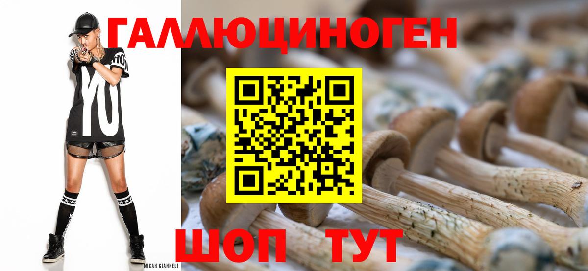 Псилоцибиновые грибы GOLDEN TEACHER Москва